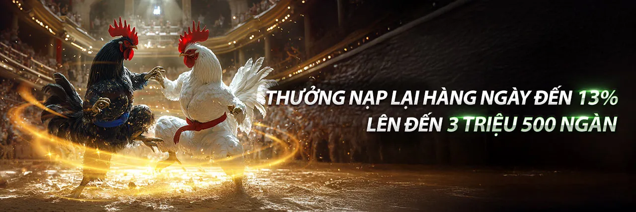Đấu trường đá gà trực tuyến sôi động với mã bet999 code